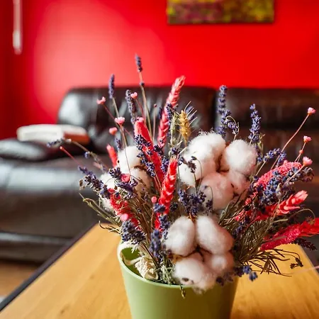 Appartement Certo -vibrant And Modern Retreat *